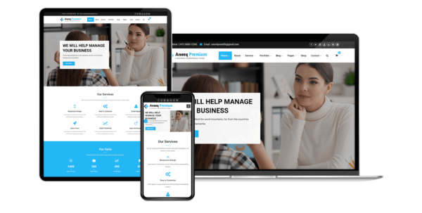 Aneeq WordPress theme