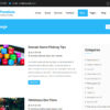 Aneeq WordPress theme