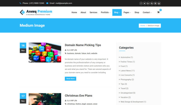 Aneeq WordPress theme