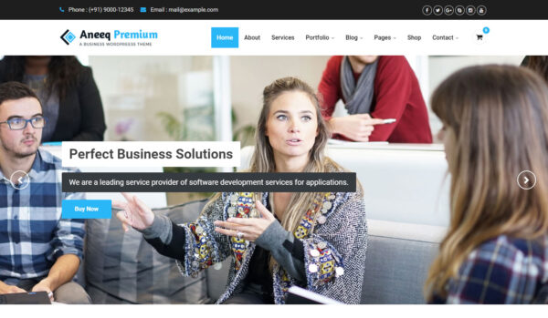 Aneeq WordPress theme