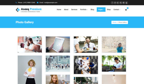 Aneeq WordPress theme