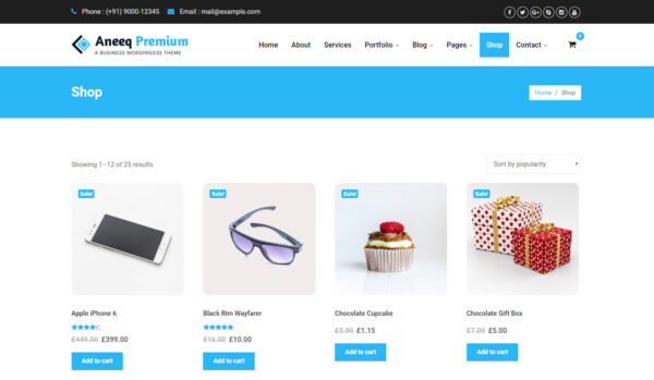 Aneeq WordPress theme
