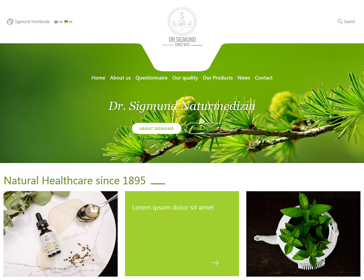Dr. Sigmund – WordPress Theme